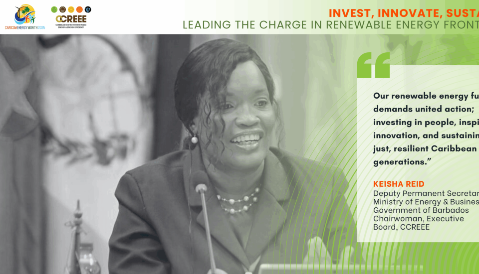 Image of CARICOM ENERGY MONTH 2025 &#8211; Invest, Innovate, Sustain