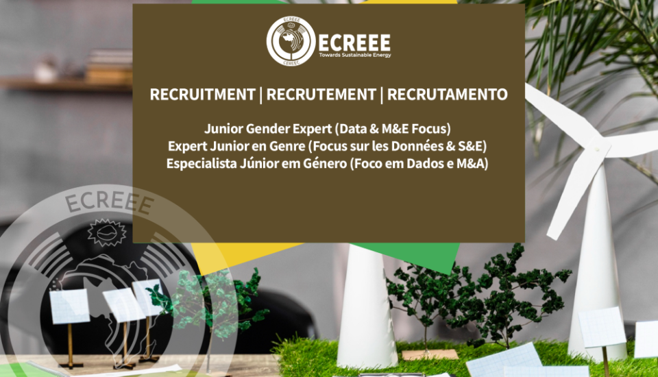 Image of ECREEE participates in ROGEAP regional workshop for West African journalists