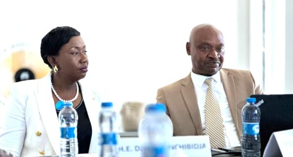 Image of The Vice President of ECOWAS Commission Pays a Courtesy Visit to ECREEE