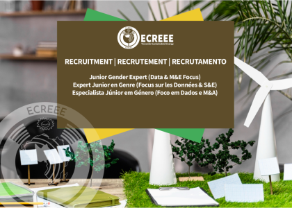 Image of ECREEE participates in ROGEAP regional workshop for West African journalists