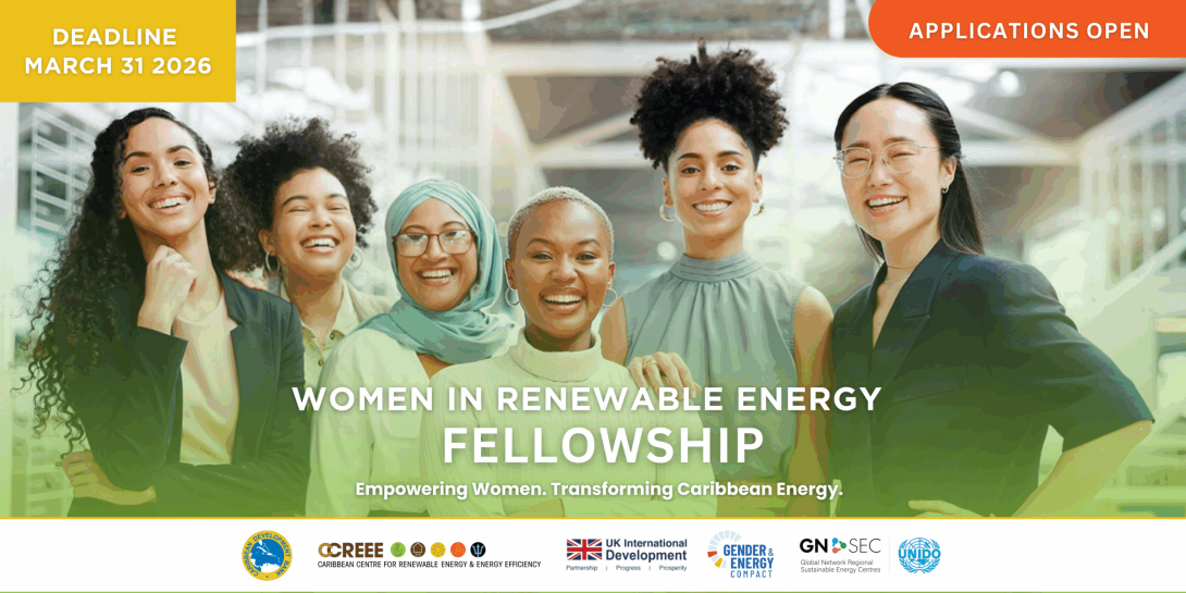 Image of Woman In Renewable Energy Fellowship 2026